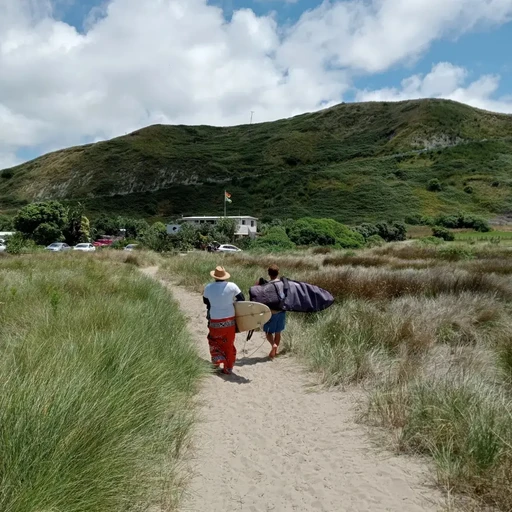 ant-z's Profile Picture