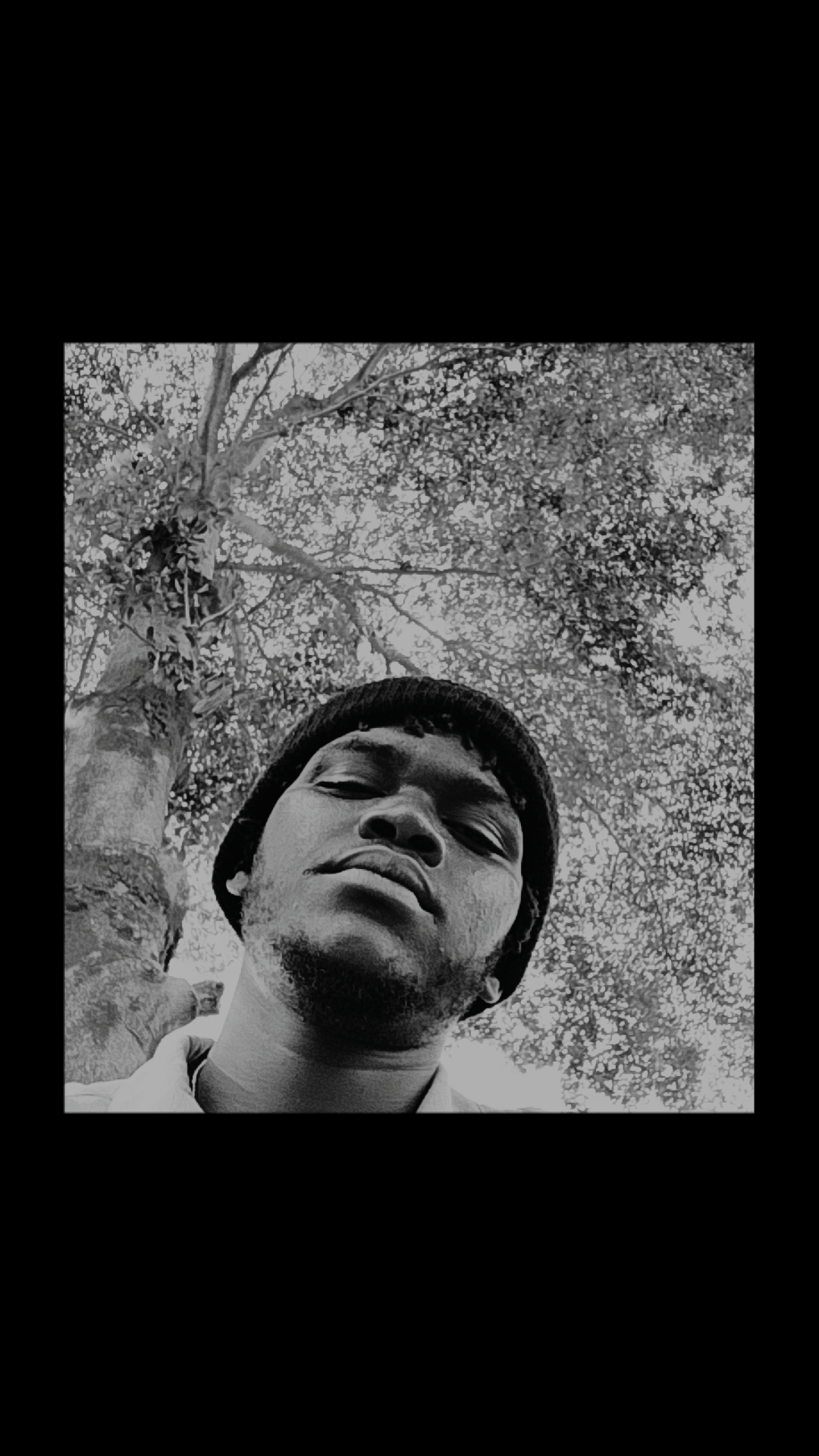 bigvi's Profile Picture
