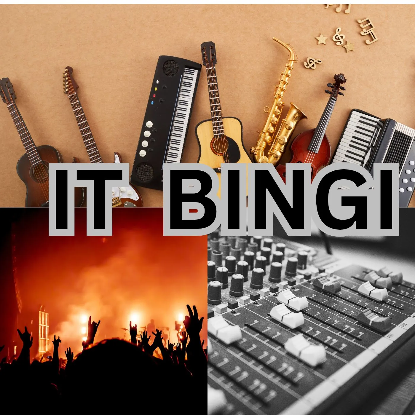 bingi's Profile Picture