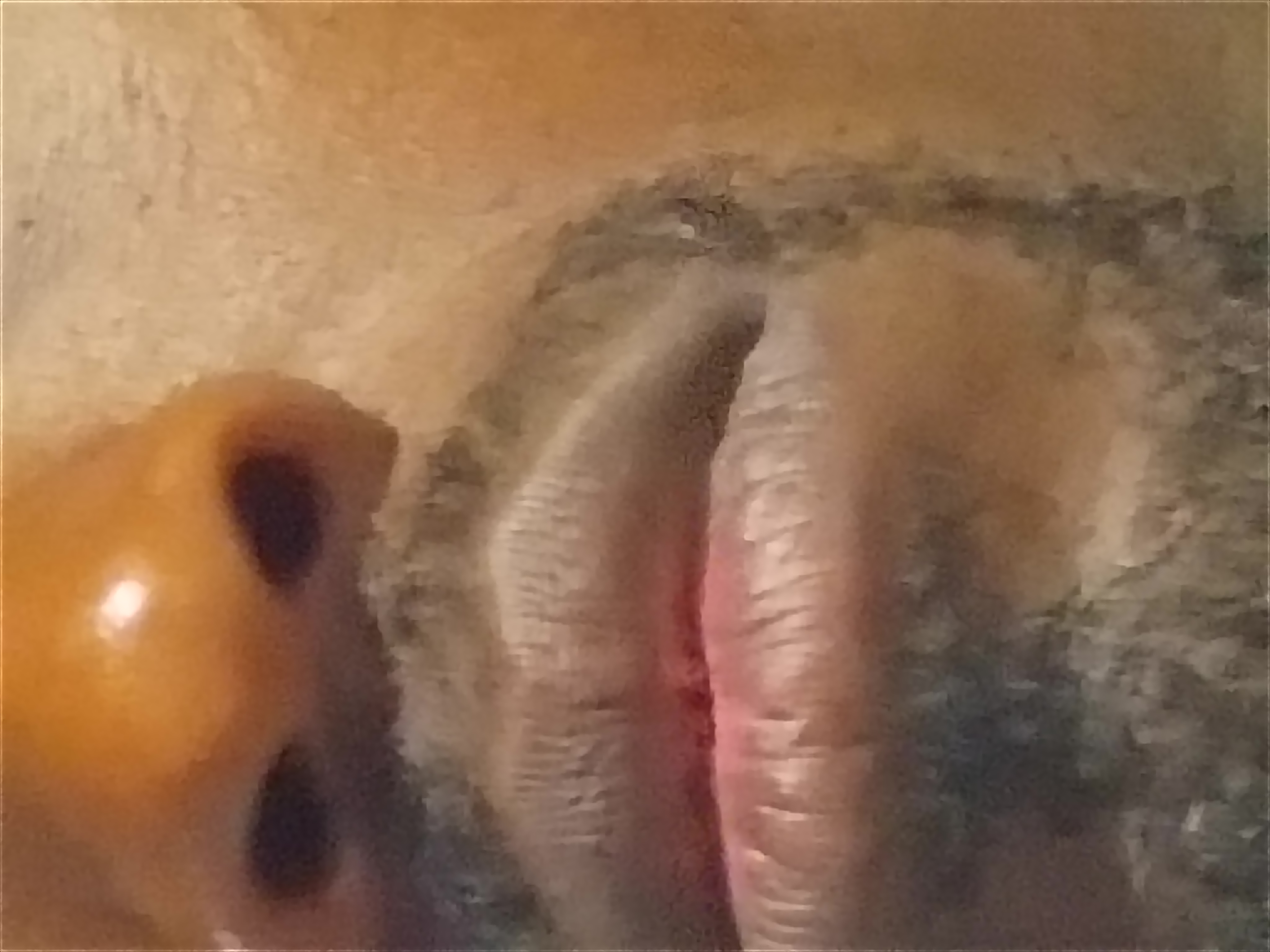 ceolilsticky's Profile Picture