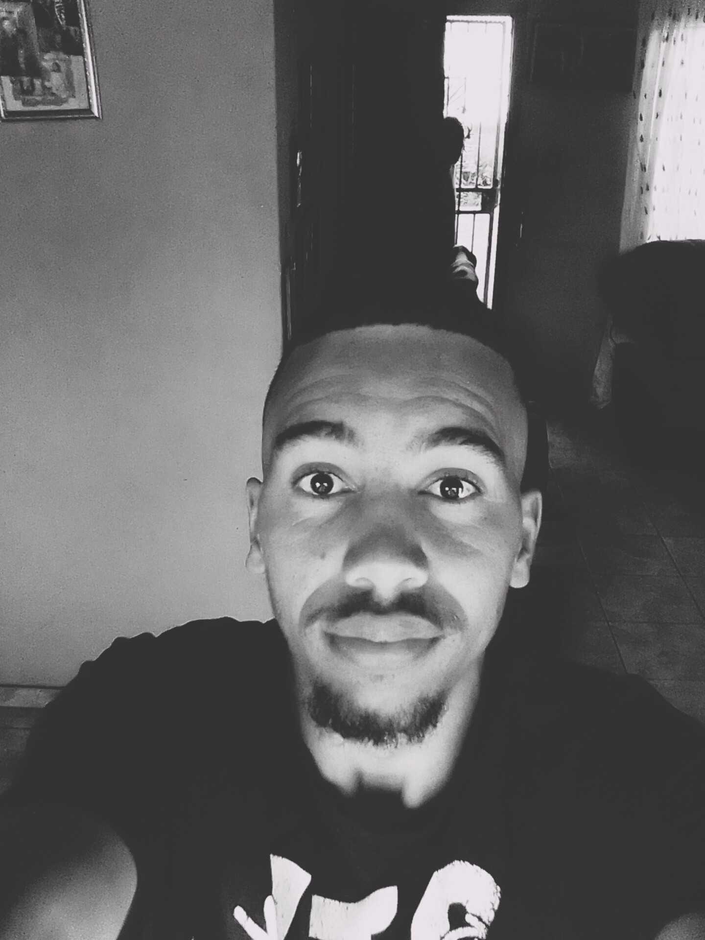 dino's Profile Picture