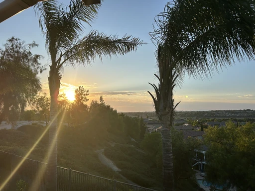 edfox's Profile Picture