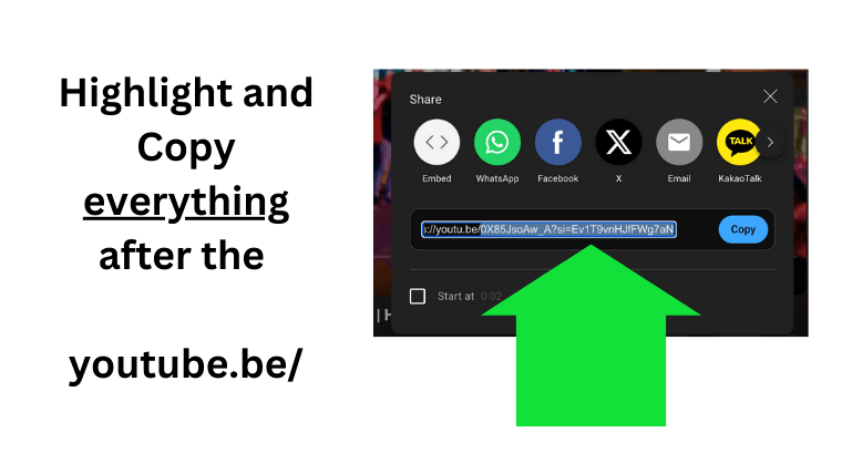 YouTube Share Options