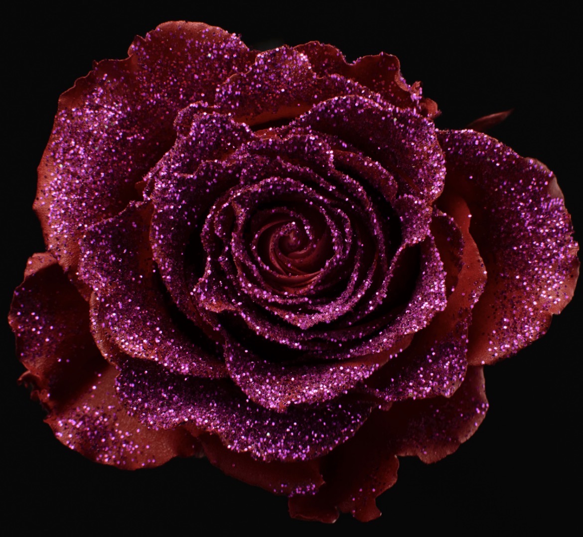 flux's Profile Picture