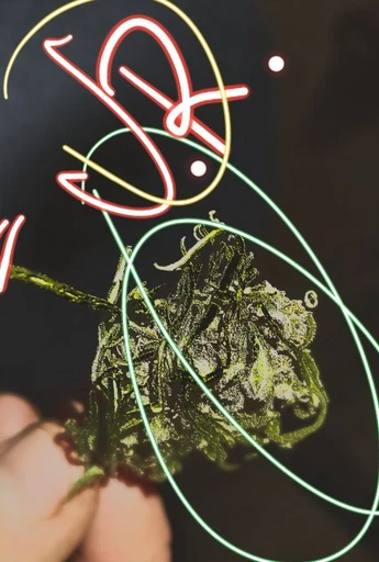 jrprod-373's Profile Picture