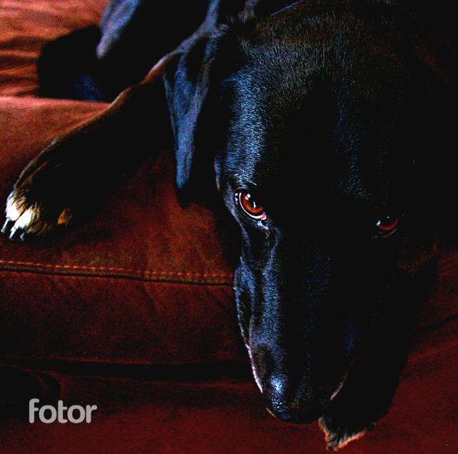 kajetrapkid's Profile Picture