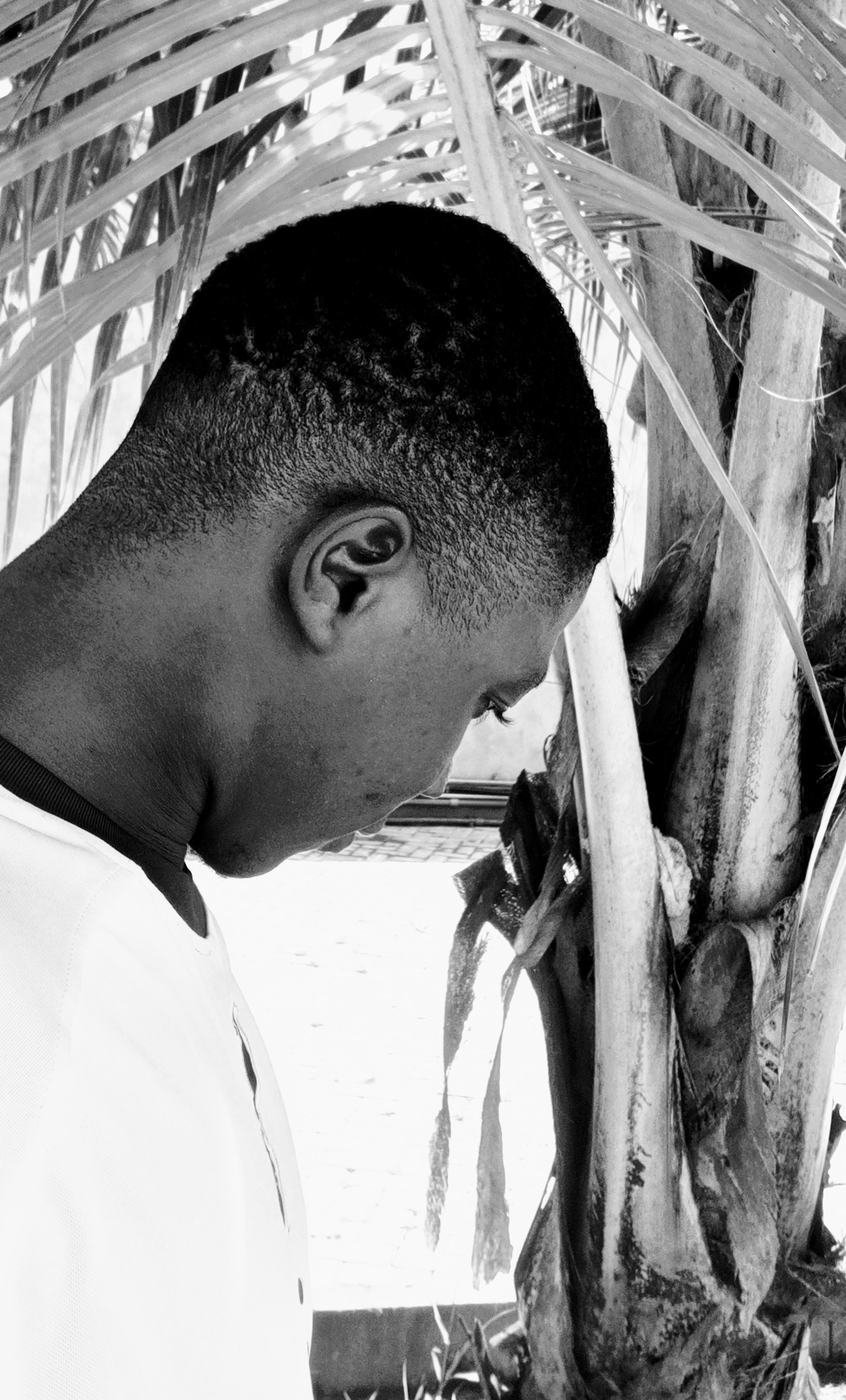 lexis_him Profile