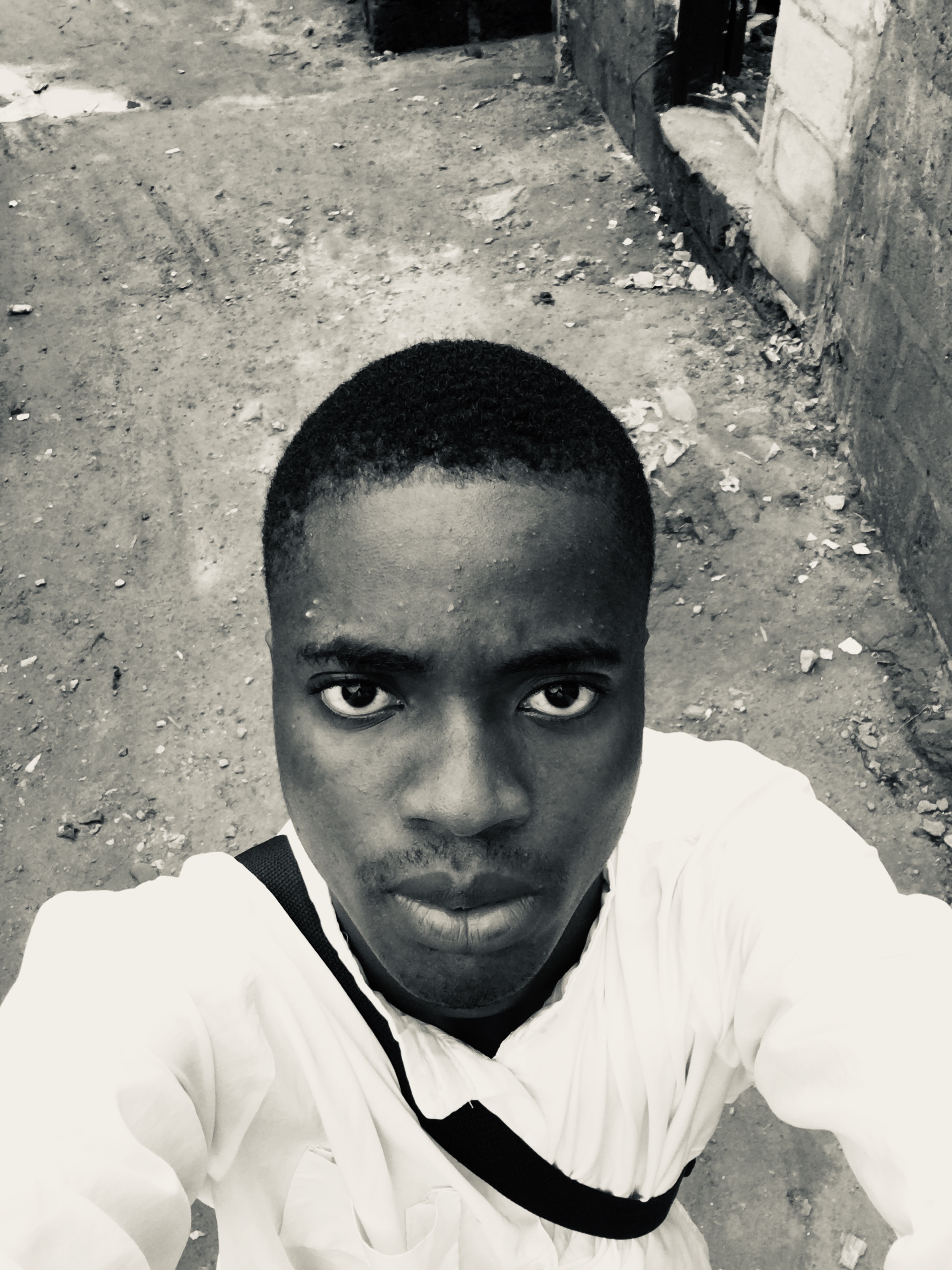 midead's Profile Picture