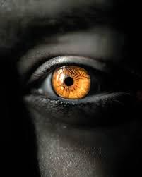 moon's Profile Picture