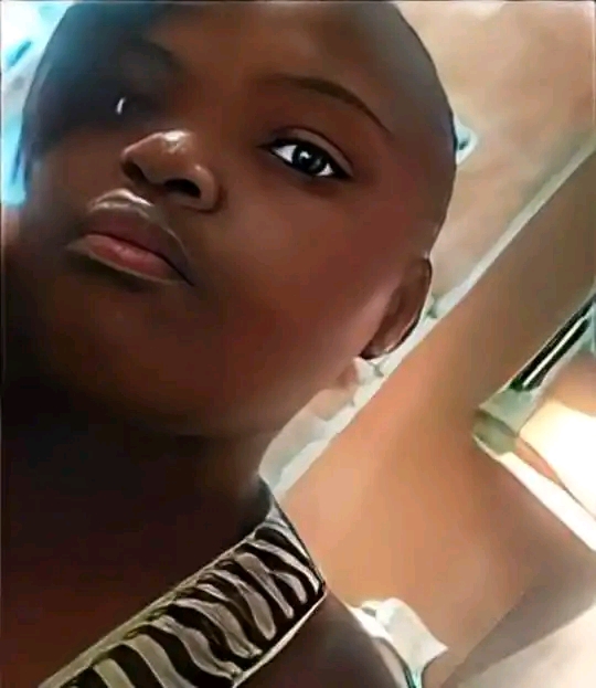 nozibee's Profile Picture