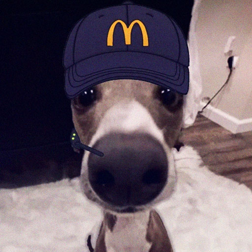 olek3203montebellok12caus Profile