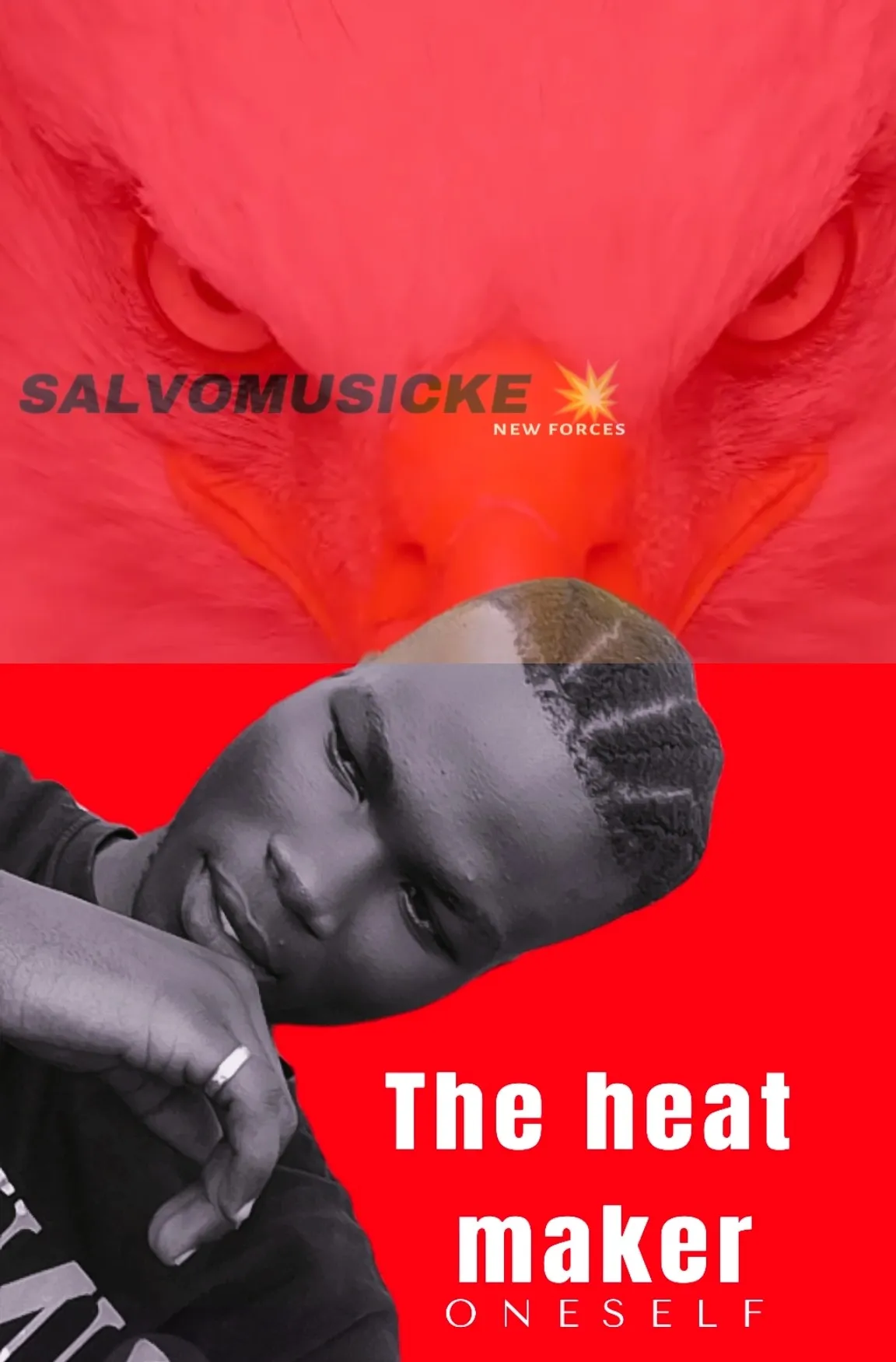 salvomusicke's Profile Picture