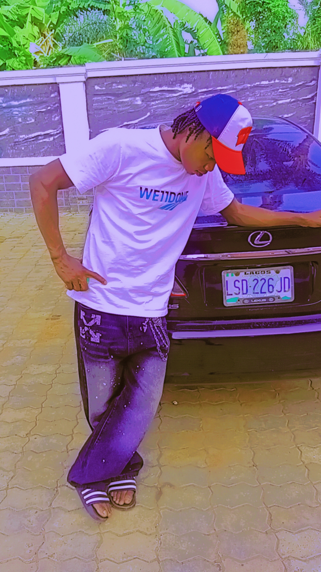sestar Profile
