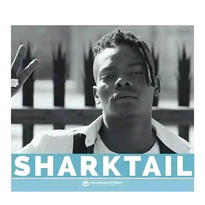 sharktail's Profile Picture