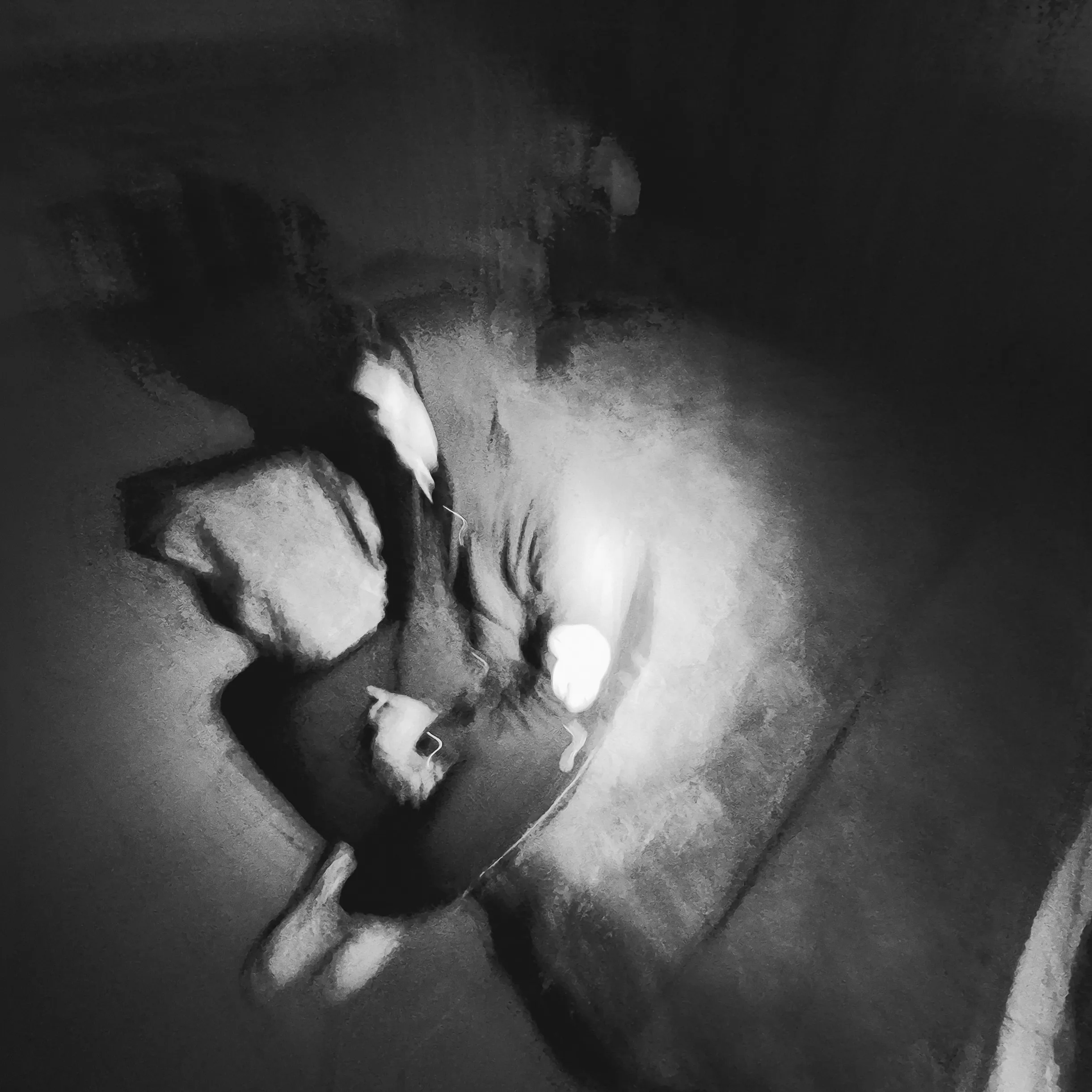 shxnu's Profile Picture