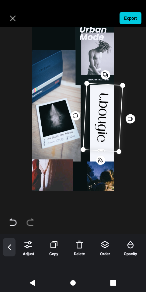tbougie's Profile Picture