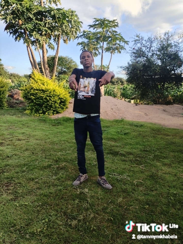 td-sa-cul-dreamer-07 Profile