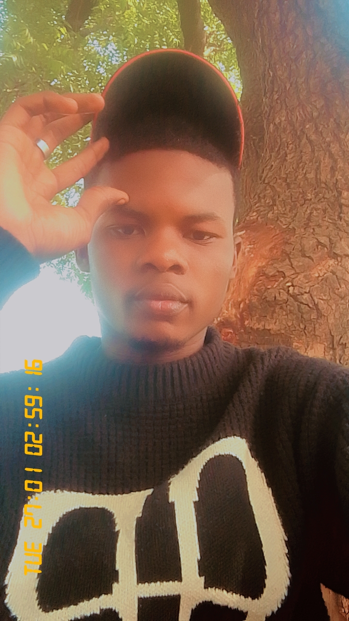 toomuchmoney Profile