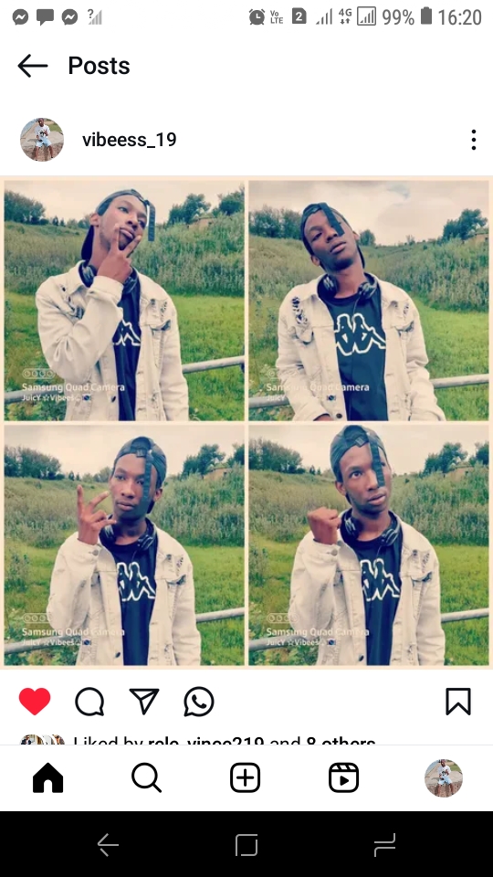william-vibees Profile