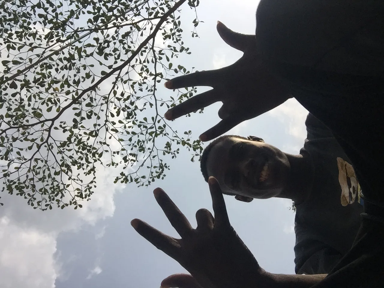 zekoro's Profile Picture
